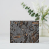 Belemnites Briefkaart (Staand voorkant)