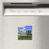 Belfast Magneet (Insitu (Vaatwasser))