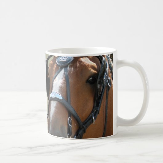 Belge dans la tasse de harnais (Droite)