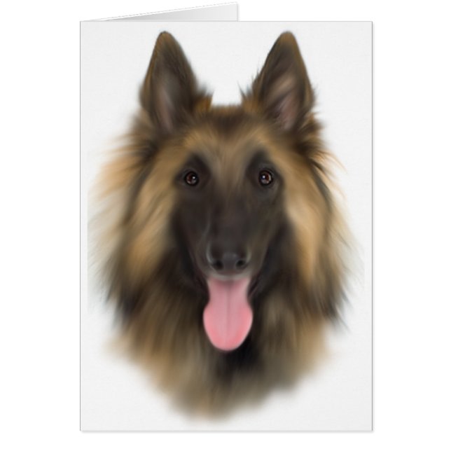 Belge de Chebereau Tervueren (Devant)