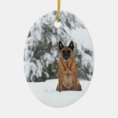 Belge Malinois en ornement 2 de neige (Devant)