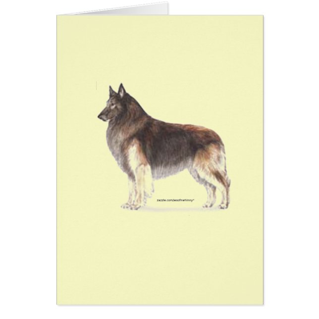 Belge Tervuren (Devant)