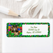 Belge Tervuren Noël Open Now Étiquette (En situation)