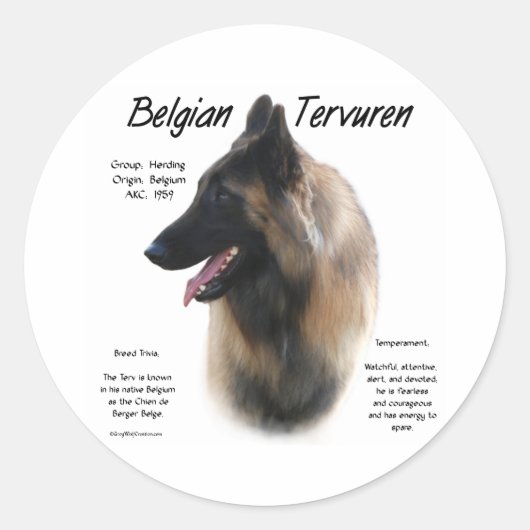Belge Tervuren Rencontrez la race - Sticker (Devant)