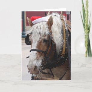 Belgian Draft Horse Christmas Feestdagen Kaart