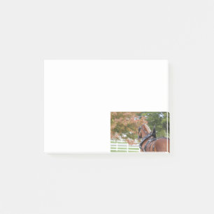 Belgian Draft Horse Post schrijft Post-it® Notes