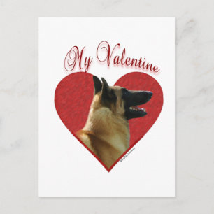 Belgian Malinois Mijn Valentijn Feestdagenkaart
