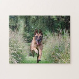 Belgian Malinois Running Legpuzzel