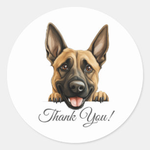 Belgian Malinois Schattigee hond Dank u wel Ronde Sticker
