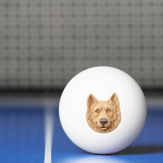 Belgian Shepherd Dog 3D geïnspireerd Pingpongballen (Net)