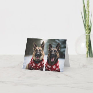 Belgian Shepherd Dogs Christmas Kaart