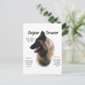 Belgian Tervuren Meet the Breed Briefkaart (Staand voorkant)