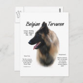 Belgian Tervuren Meet the Breed Briefkaart (Voorkant / Achterkant)