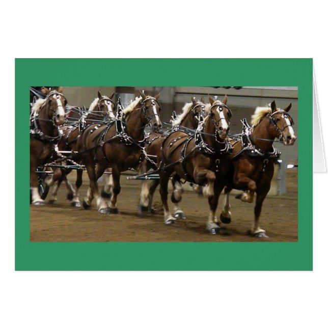 Belgians Card (Voorkant Horizontaal)