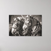 België conceptpaarden canvas afdruk (Voorkant)