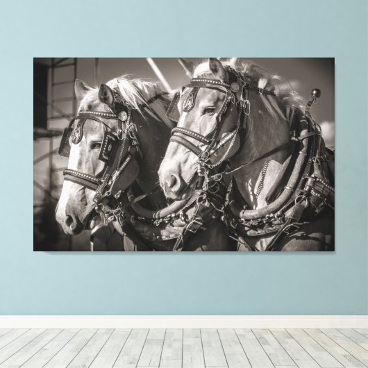 België conceptpaarden canvas afdruk (Insitu (Houten vloer))