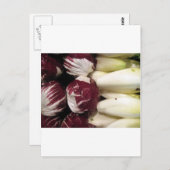 België Endigo Briefkaart (Voorkant / Achterkant)