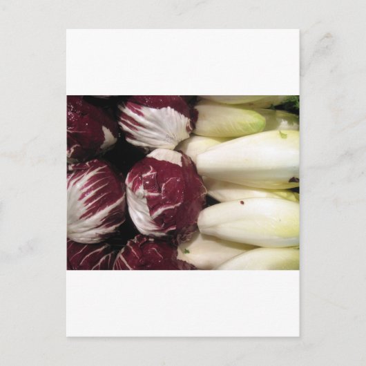 België Endigo Briefkaart (Voorkant)