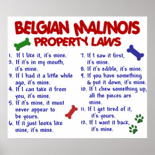 BELGIË MALINOIS PL2 POSTER