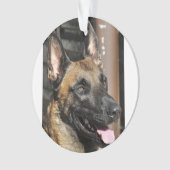 belgië malinois.png ornament (voorkant)