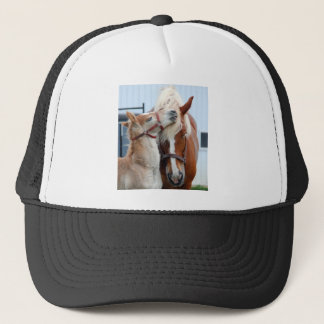 belgië Mare en Filly Trucker Pet