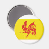 België Vlag Waals Gewest Magneet (Voorkant / Achterkant)