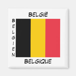 Belgique Langues belges Drapeau Carré Magnet