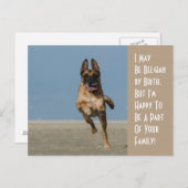 Belgisch bij geboorte-hond-Briefkaart Briefkaart (Voorkant / Achterkant)