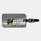 Belgisch conceptpaard in het Bagagelabel Paddock (Voorkant horizontaal)