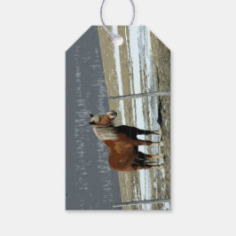 Belgisch conceptpaard in Label met paddock Gift Cadeaulabel