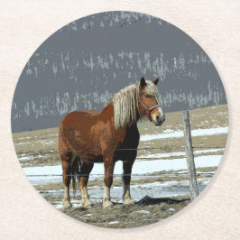 Belgisch conceptpaard in Onderzetter Paddock Paper