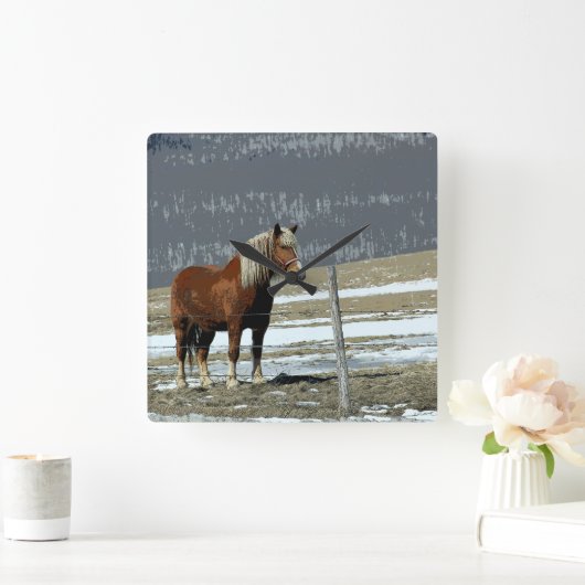 Belgisch conceptpaard in Paddock Wall klok (Huis)