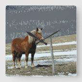 Belgisch conceptpaard in Paddock Wall klok (Voorkant)