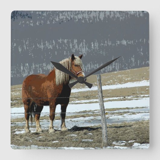 Belgisch conceptpaard in Paddock Wall klok (Voorkant)