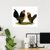 Belgisch d'Anvers Bantams: kwartels Poster (Thuiskantoor)