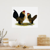 Belgisch d'Anvers Bantams: kwartels Poster (Keuken)