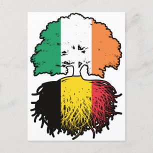Belgisch Iers - Ierland - vlag Briefkaart