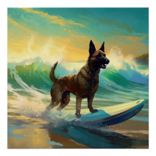 Belgisch Malinoi Strand Surfen Schilderij Perfect Poster