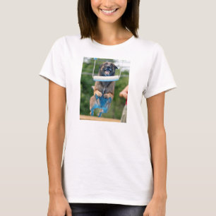 Belgisch Malinois Dock Diving shirt