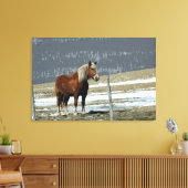 Belgisch ontwerppaard in Paddock Canvas art (Insitu (Woonkamer))