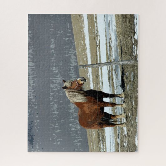 Belgisch ontwerppaard in paddock jigzaag puzzle legpuzzel (Verticaal)