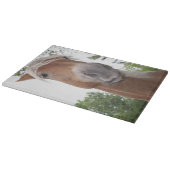 Belgisch ontwerppaard snijplank (Hoek)