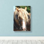 Belgisch paard canvas afdruk (Insitu (Houten vloer))