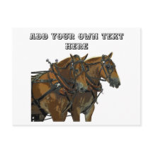 Belgisch Paardenteam Alles voor Postkaart