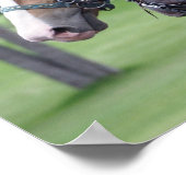 Belgisch paardenteam poster (Hoek)