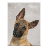 Belgisch Poster Shepherd Perfect Poster (Voorkant)