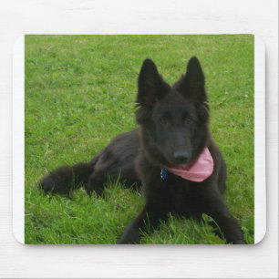 Belgisch_Shepherd_Groenendael_puppy Muismat