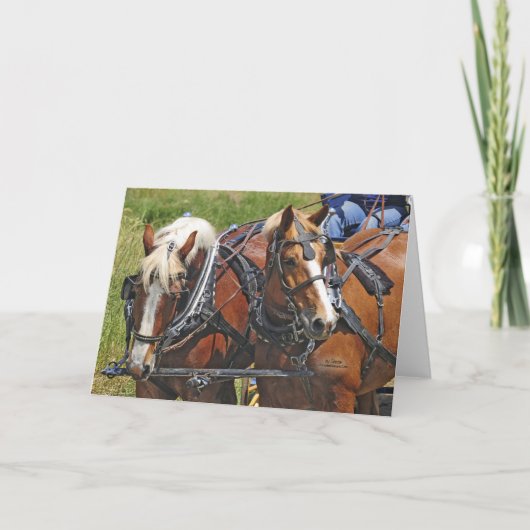 Belgisch Team Kaart (Voorkant)