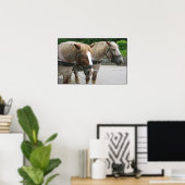 Belgisch team poster (Thuiskantoor)