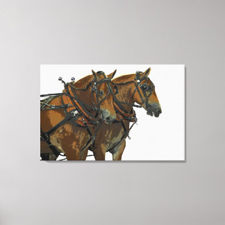 Belgisch trekpaard team gespannen canvas kunst